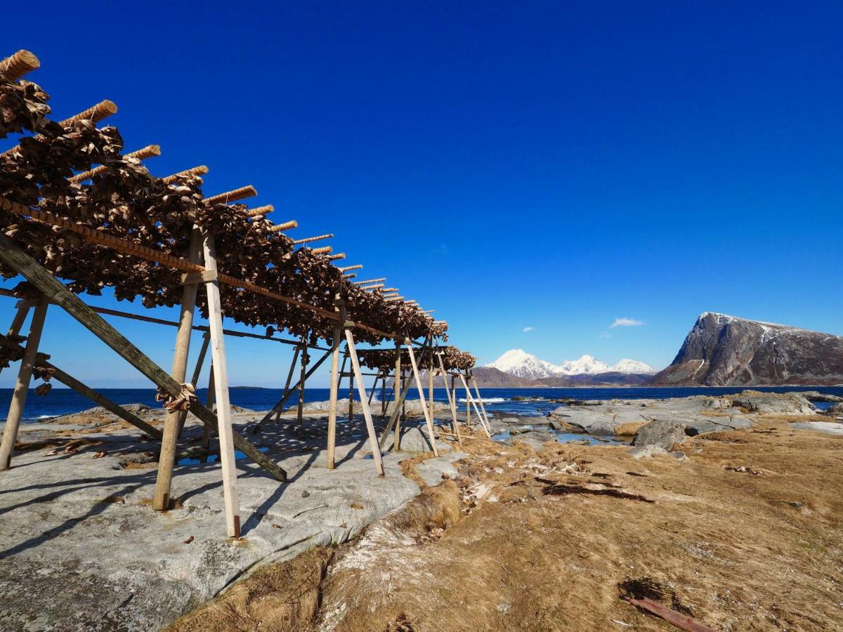 Midnight Sun View Lofoten Лекнес Екстериор снимка